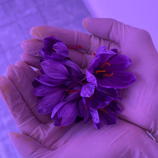 Health Benefits of Saffron